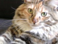 Ashley close-up