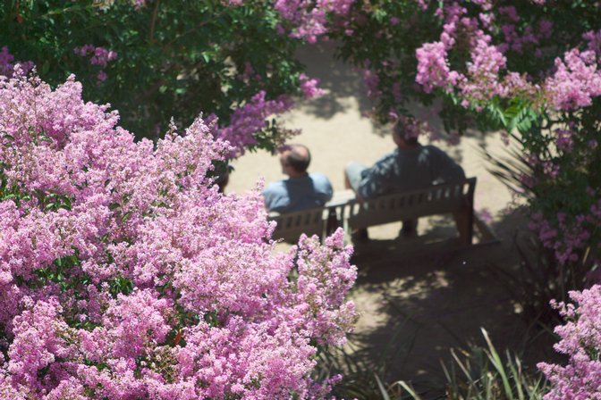 Garden Bench