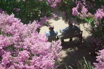 Garden Bench