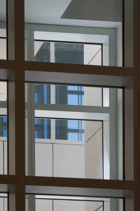 North Wing Windows