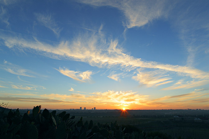 Sunset behind the Garden Park, IV