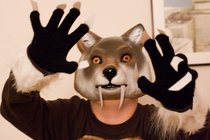Demon Wolf