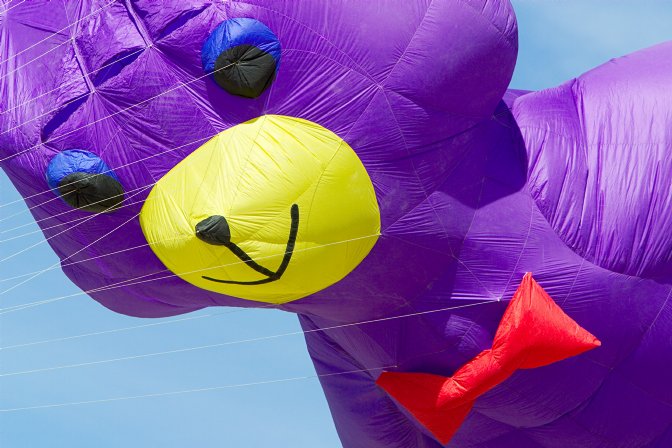 Purple bear