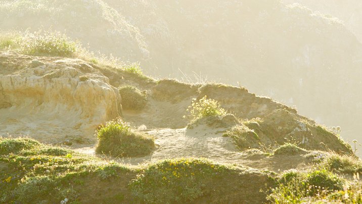 Headlands, I