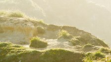 Headlands, I
