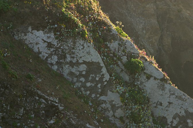 Headlands, II