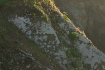 Headlands, II