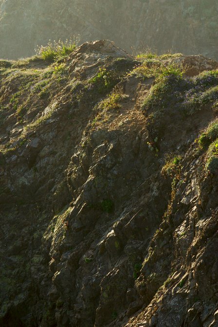 Headlands, III