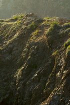 Headlands, III