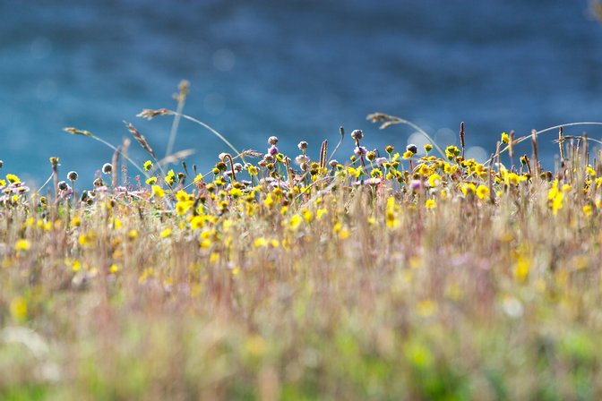 Headlands, IV