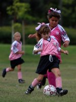 Heartbreakers vs Pink Panthers