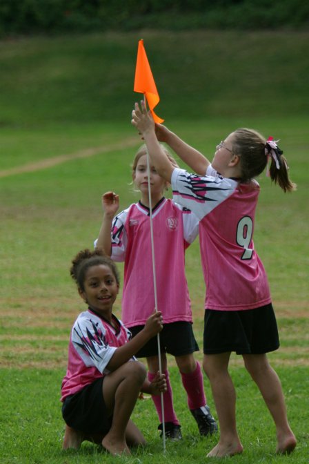 Flag raising