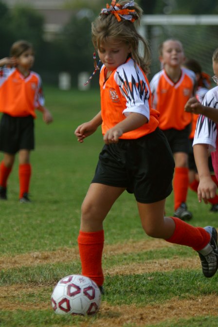 One of the Tigers