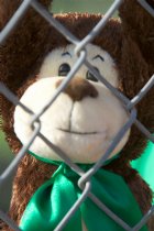 Rally monkey