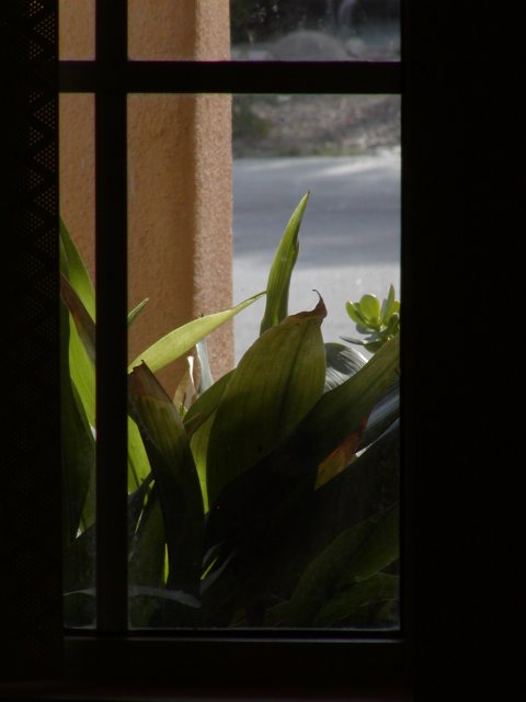 Entry window