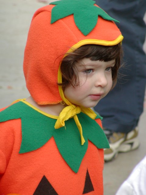 Zena as a Pumpkin