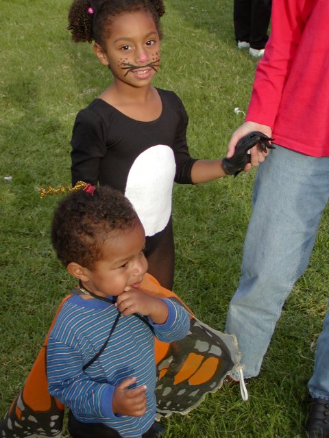 Walden and Miles