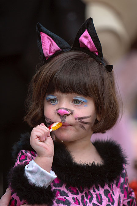 Zena as a purple cat