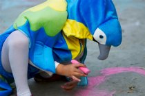 Artistic Macaw