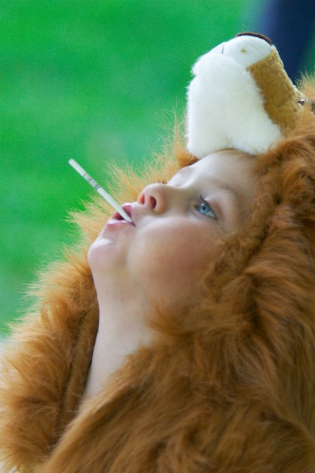 Alex As Lion