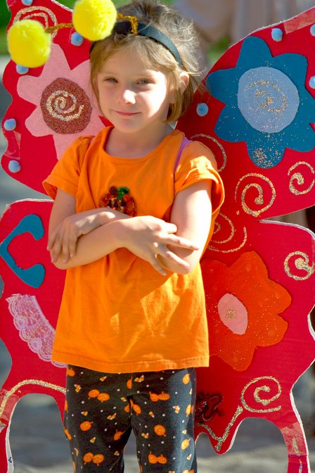 Orange Butterfly