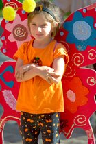 Orange Butterfly