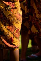 Sarongs, VI