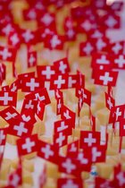 Swiss Cheese