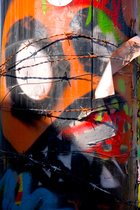 Barbed Wire
