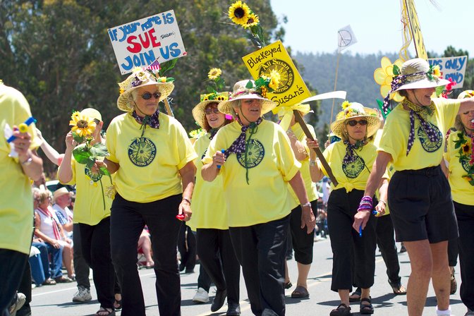 Band Of Susans