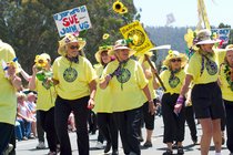 Band Of Susans