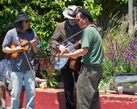 Bluegrass