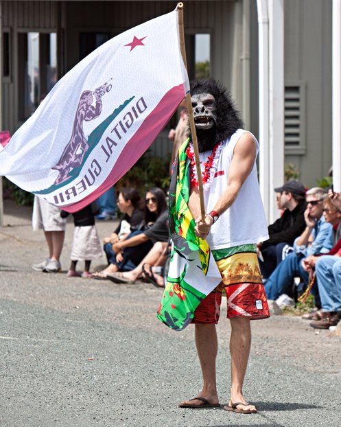 Digital Guerilla