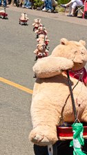 Bear Wagon Train