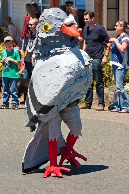 Giant Pigeon