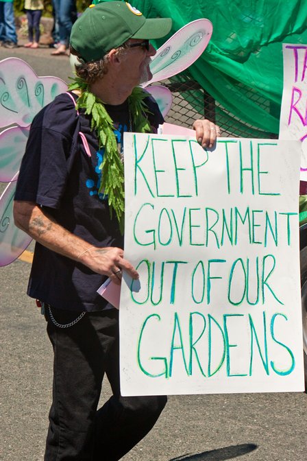 Legalize, IV