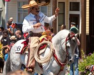 Vaquero