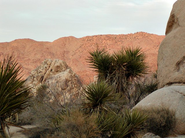 Red Mountains
