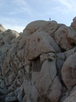 Rocktop Figure
