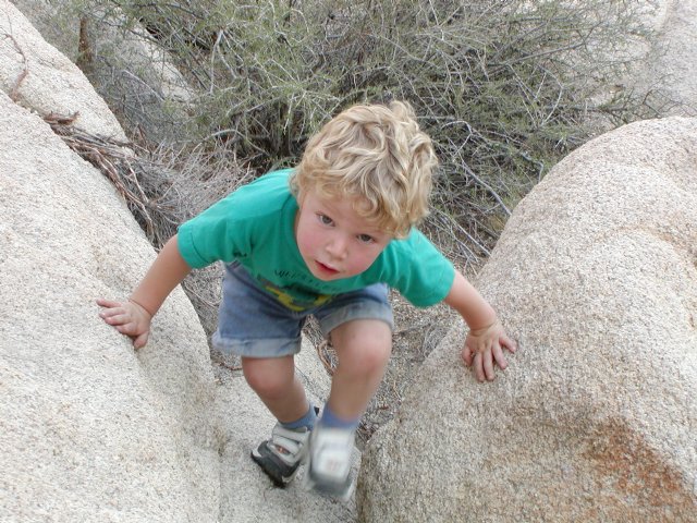 Timothy Climbing