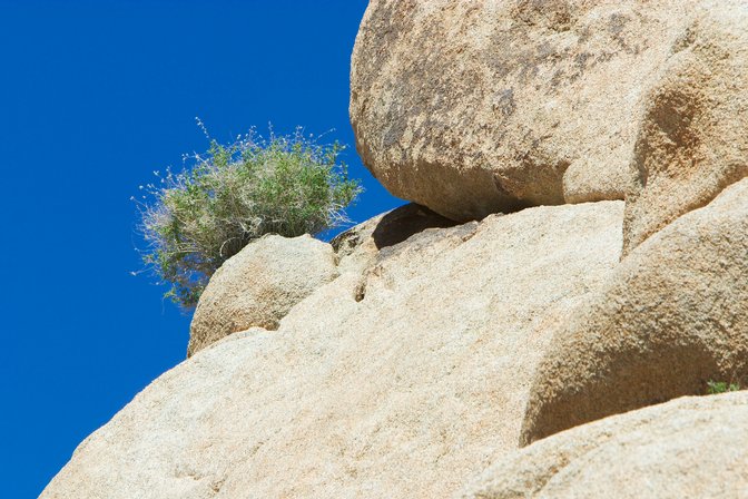 Rockscape, I