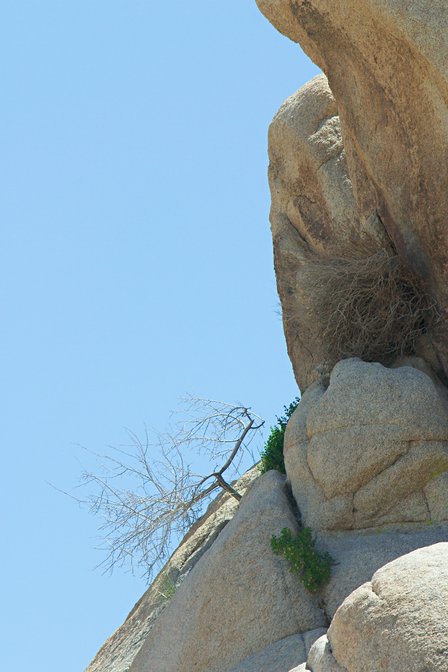 Rockscape, III