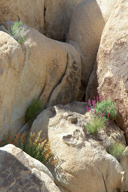 Rockscape, IV