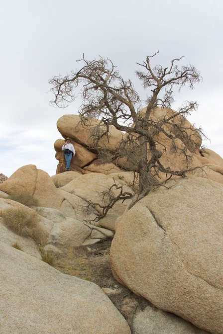 At The Top, II