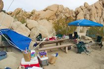 Windblown Campsite