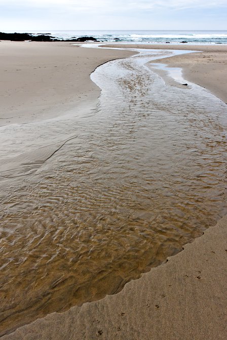 Creek Mouth