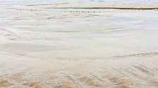Creek Mouth Detail