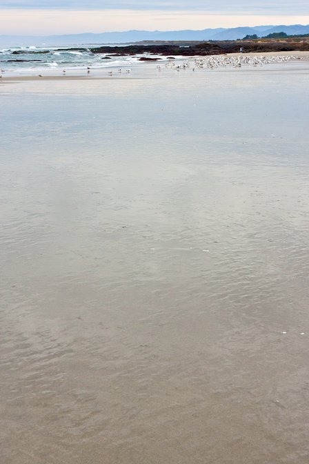 Wet Sand