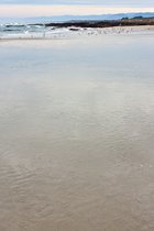 Wet Sand