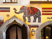 Elefant
